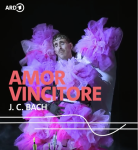 Amor vincitore